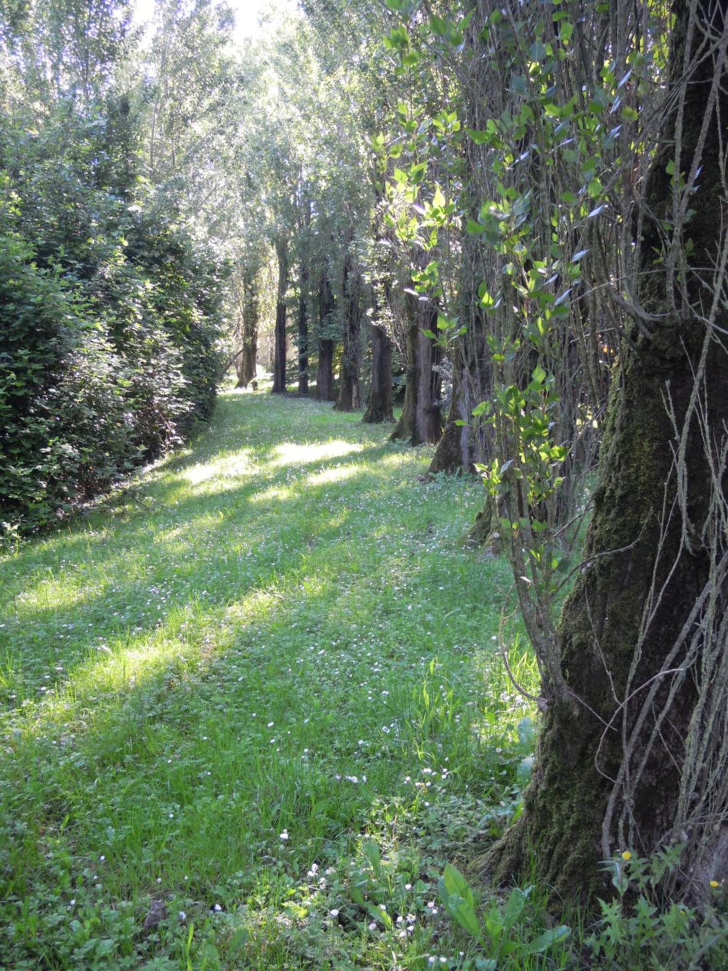 Holiday Home Giaron Rosolina Exterior foto